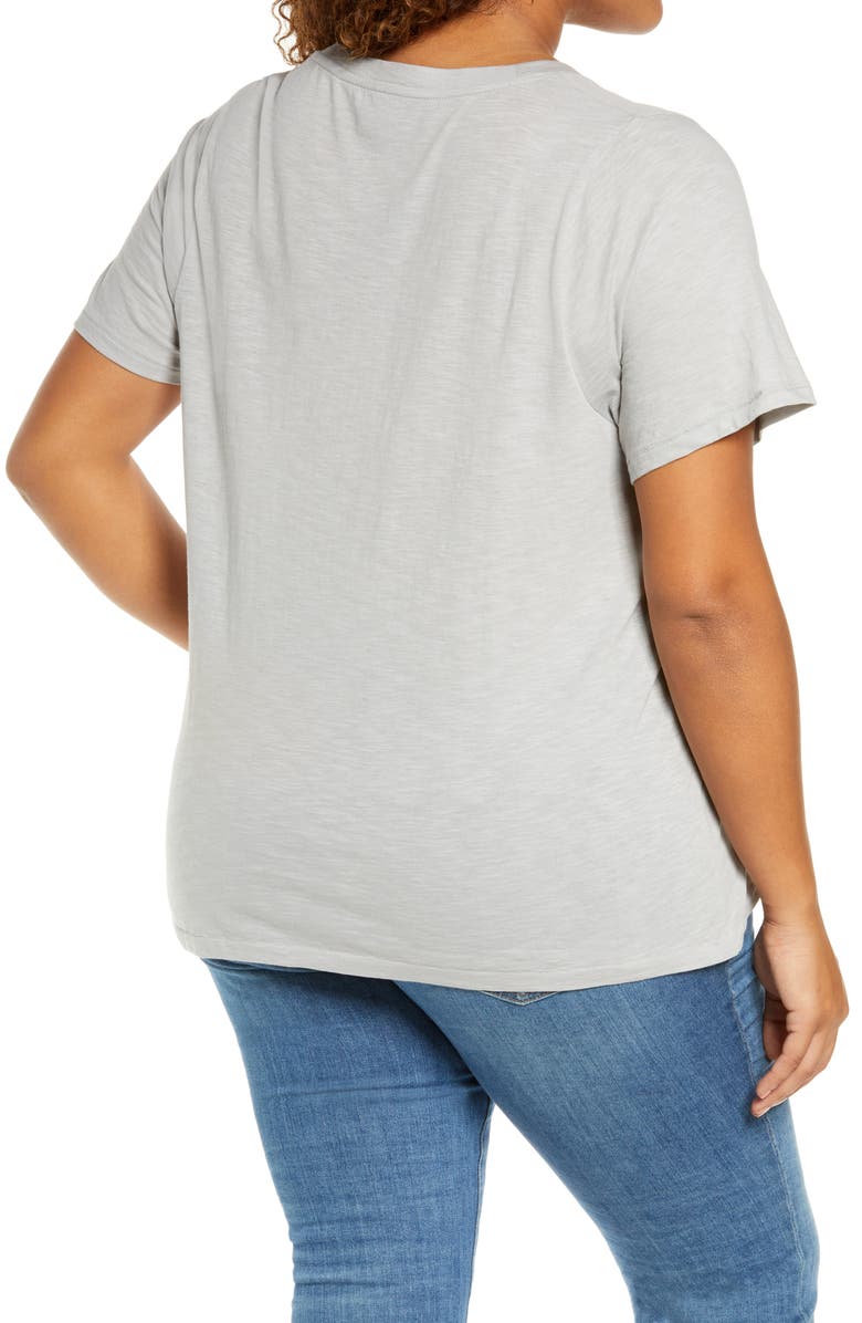 Madewell Whisper Cotton V-Neck T-Shirt, Alternate, color,