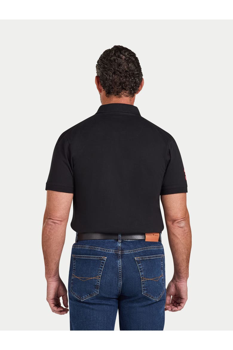 Crest Polo Shirt, Alternate, color, Black