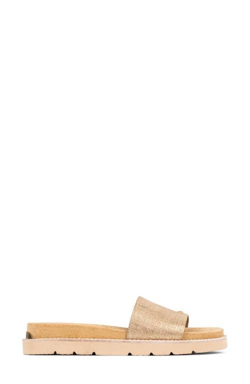 DONALD PLINER DONALD PLINER JOELLA SLIDE SANDAL 