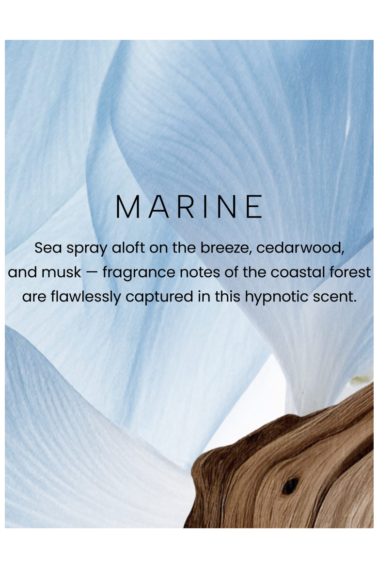 Marine Premium Small Jar Candle, Alternate, color, White