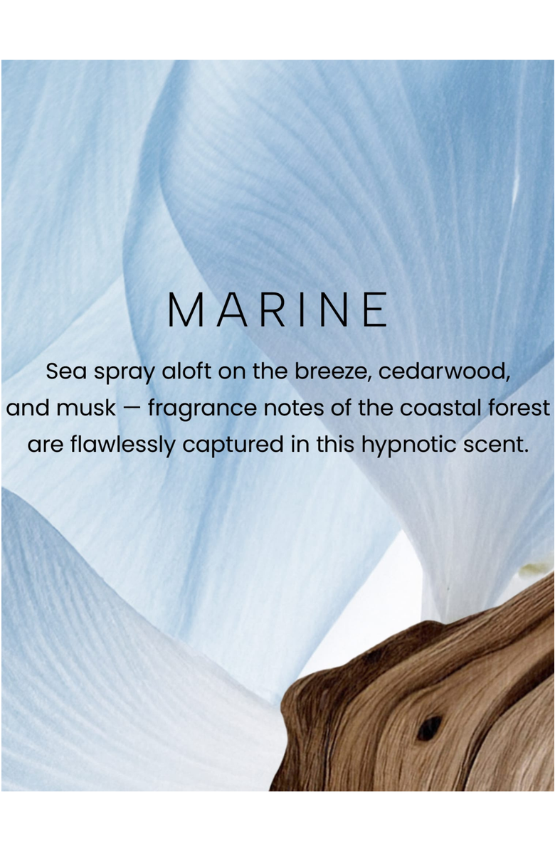 YANKEE CANDLE Marine Premium Scented Candle, Alternate, color, White