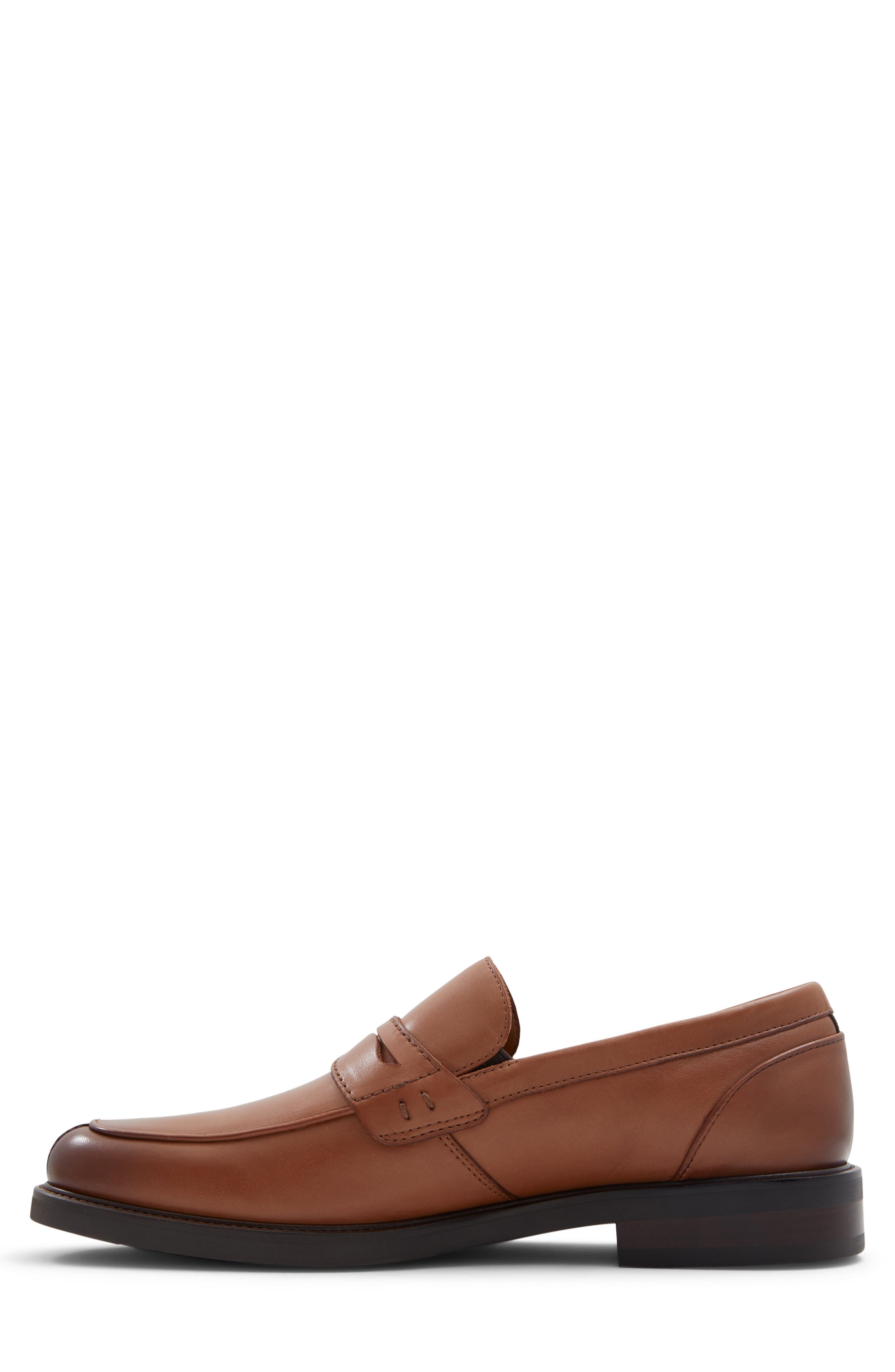 ALDO Sullivan Penny Loafer, Alternate, color, 