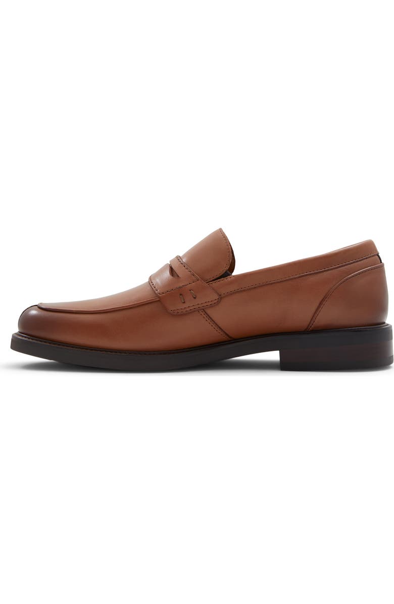 ALDO Sullivan Penny Loafer, Alternate, color,