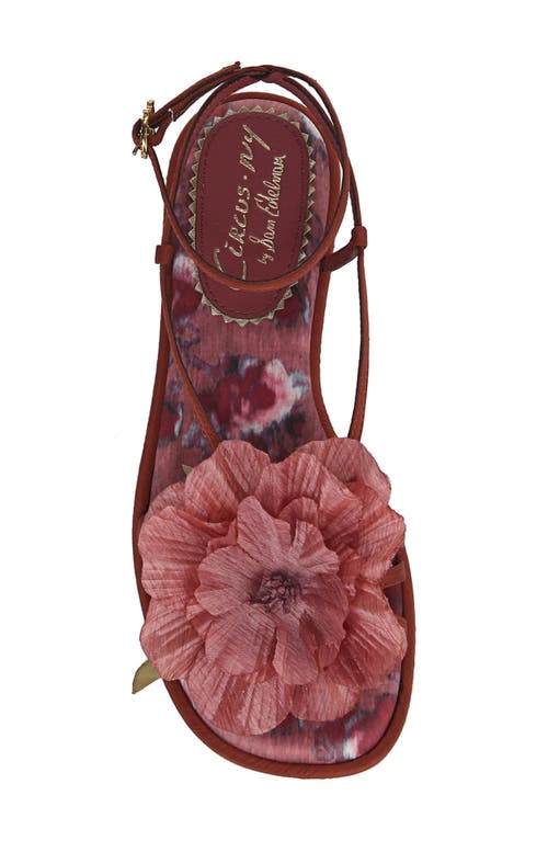Circus Ny By Sam Edelman Olana Flower Strappy Flat Sandals In Spiced Merlot Multi