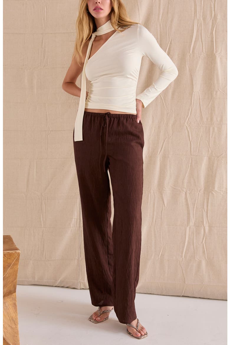 Easy Wear Textured Woven Pants, Alternate, color, Brown