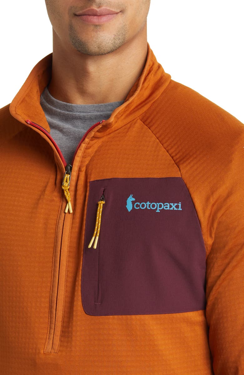 Cotopaxi Otero Hooded Fleece Jacket, Alternate, color, 