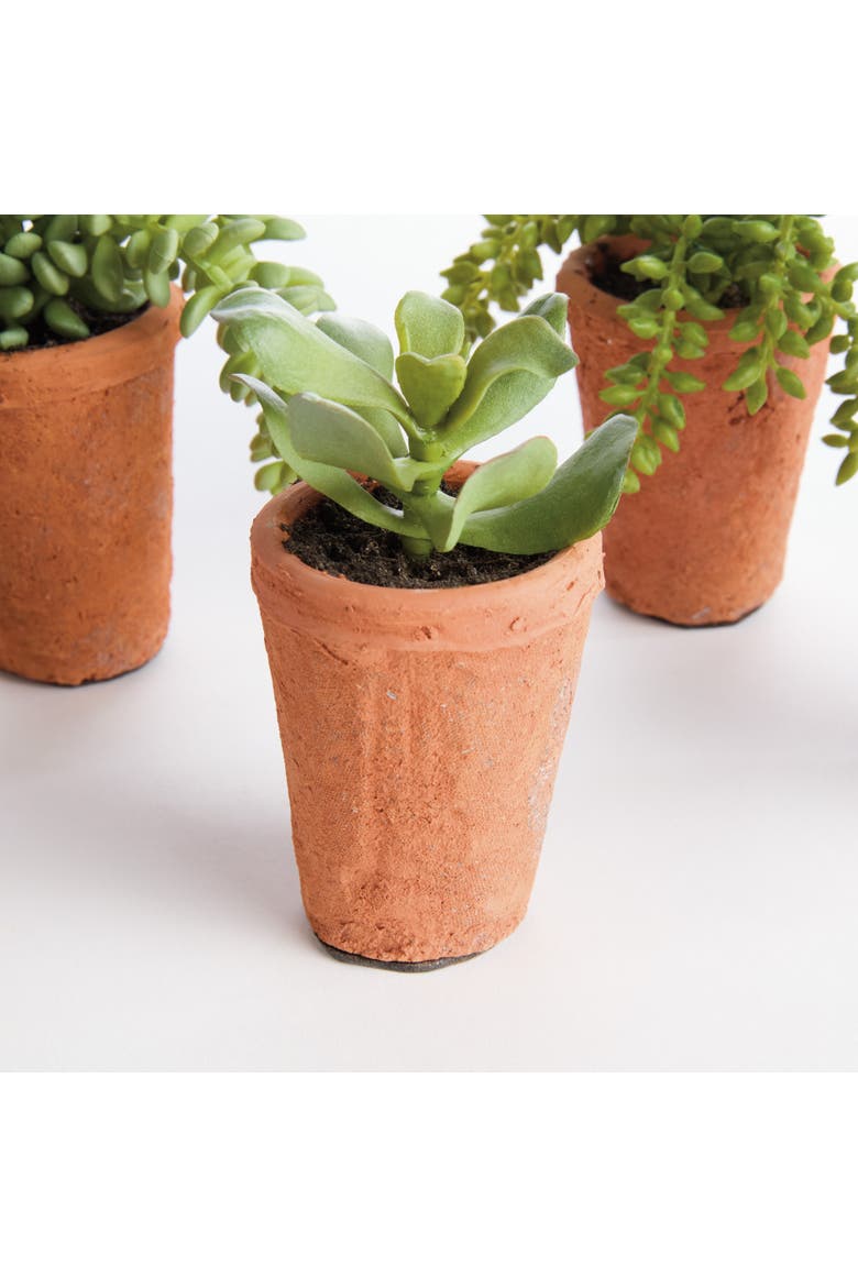 Potted Green Ceramic Succulents 8.5" Set of 6, Alternate, color, Green