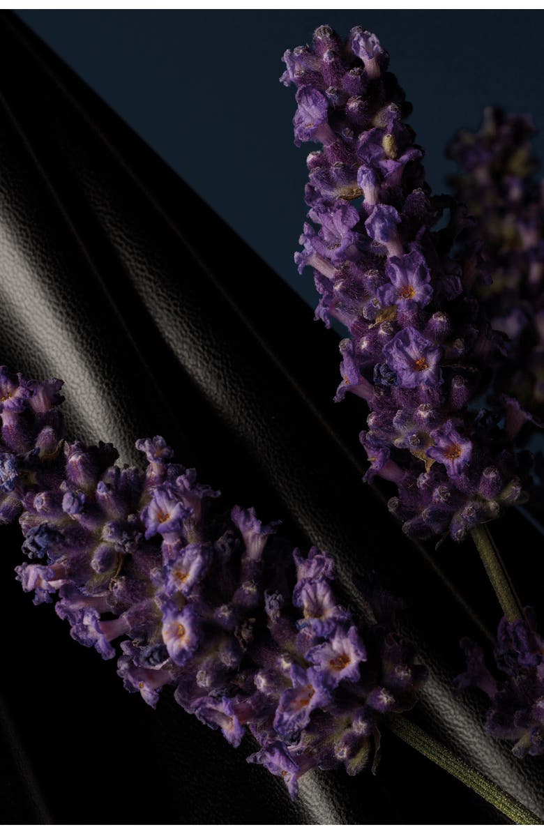 Christian Louboutin Lavande Fétiche Eau de Parfum, Alternate, color,