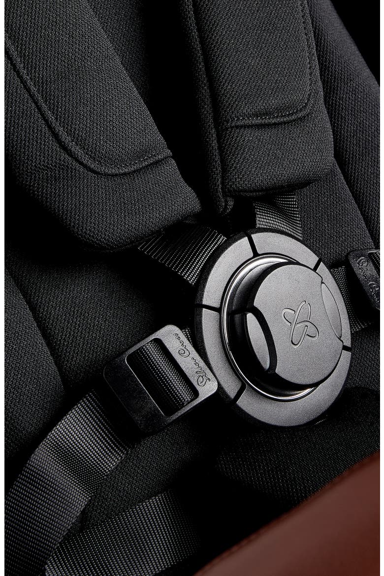 Jet 4 Stroller, Alternate, color, BLACK