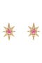 selected Yellow Gold/ Pink