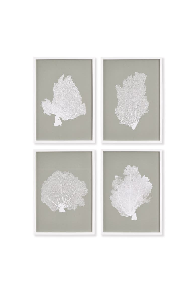 Coral Fans Study Set of 4, Main, color, Gray