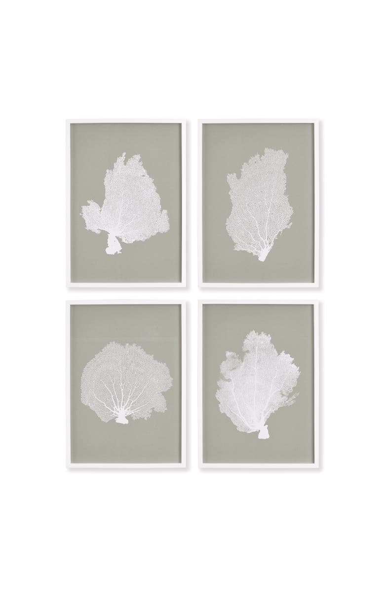 Napa Home & Garden Coral Fans Study Set of 4, Main, color, Grey