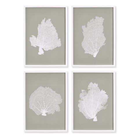 Coral Fans Study Set of 4