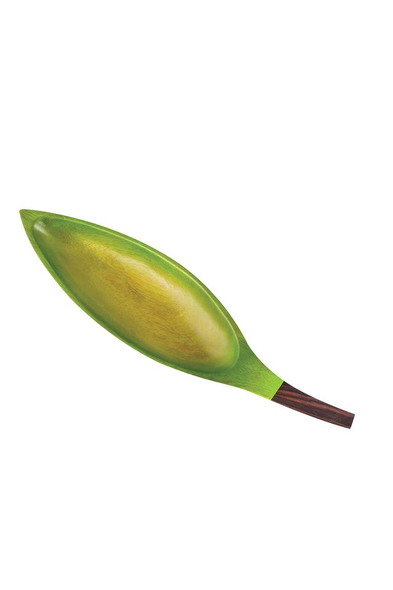 Palm Leaf Tray, Main, color, Green