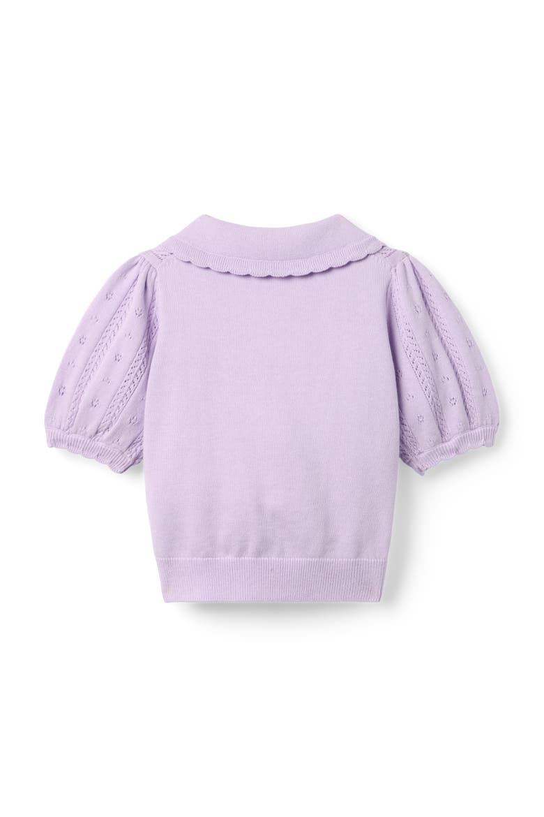 Embroidered Pointelle Sweater Top, Alternate, color, Purple