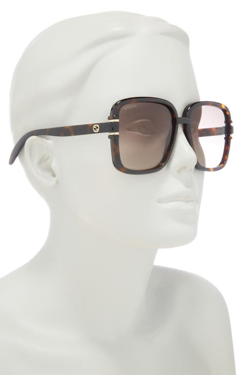 Gucci 59mm Square Sunglasses In Havana Havana Brown