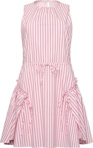 Cinq à Sept Leylani Rose Stripe Cotton Blend Dress