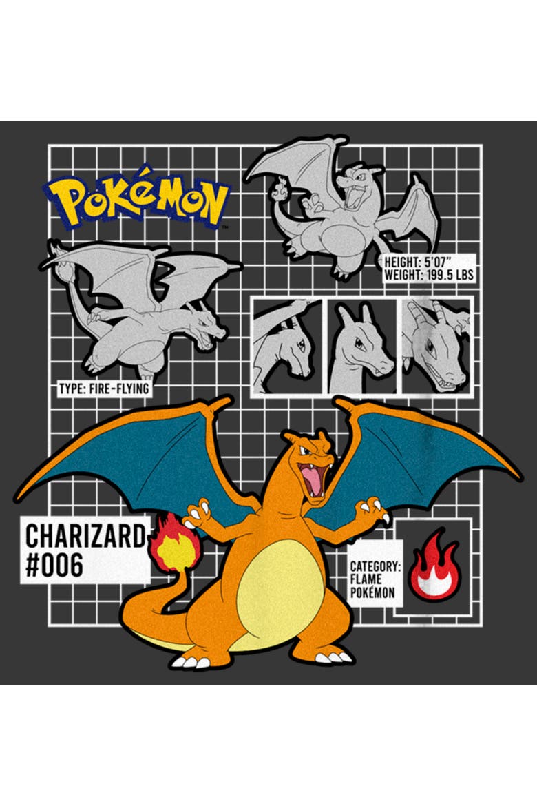 Boy's Pokemon Charizard Info Grid  Graphic T-Shirt, Alternate, color, Charcoal Heather