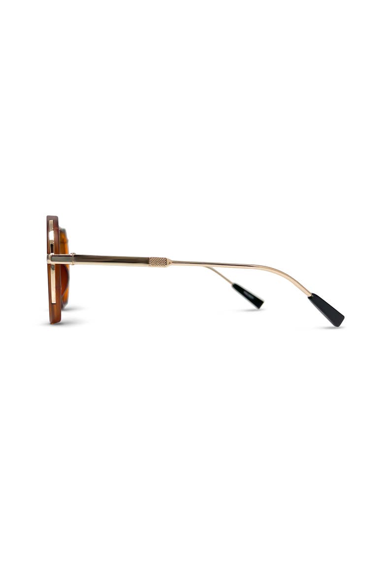 The Cove Sunglasses, Alternate, color, Tortoise