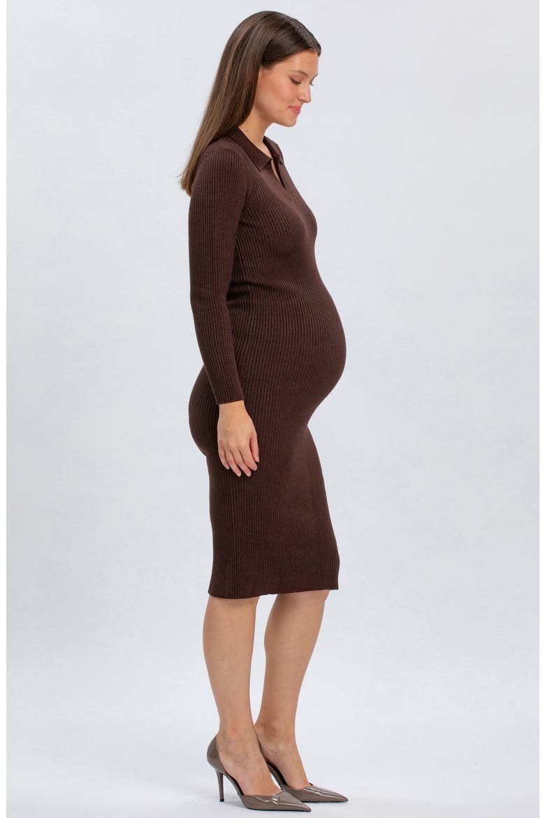 Lavinia Rib Knit Maternity Dress, Alternate, color, MOKA