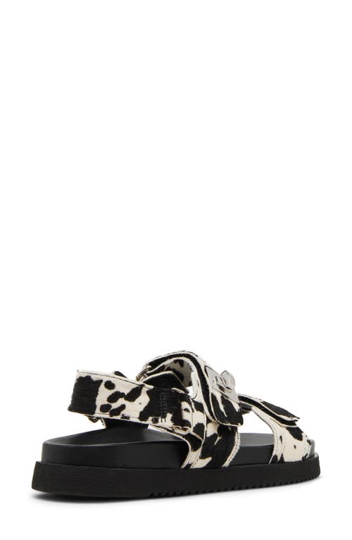 Shop Steve Madden Mona Sandal In Black/white Calf Hair