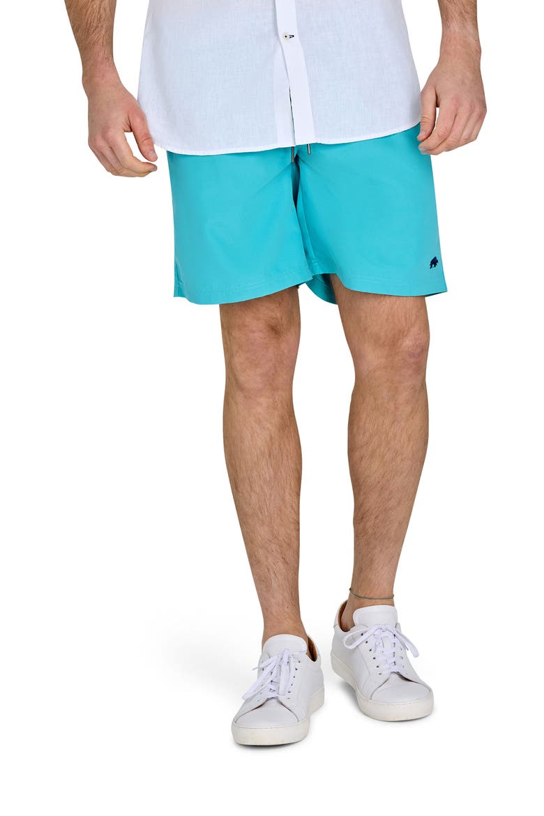 Swim Shorts, Main, color, Turquoise
