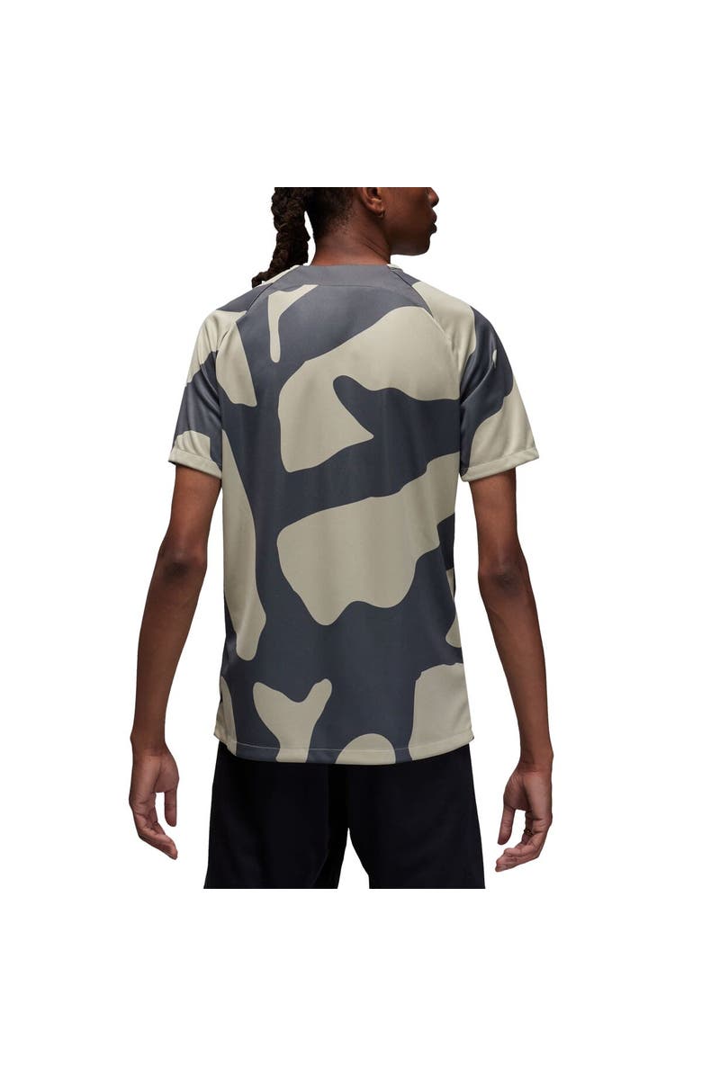 Jordan Brand Men's Jordan Brand Gray Paris Saint-Germain 2023/24 Academy Pro Pre-Match Top, Alternate, color, 