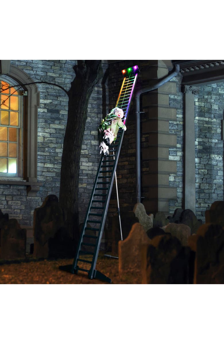 Mr. Halloween 10 ft. Outdoor Ladder Climbing Zombie, Alternate, color, Multicolor