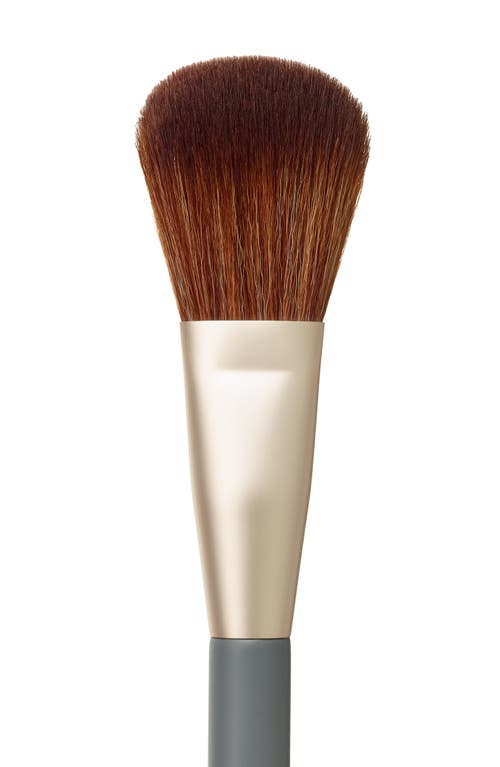 Jane Iredale Powder Complexion Brush In No Color