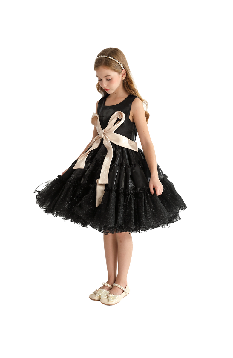 Tulleen Madrona Dress, Alternate, color, Black