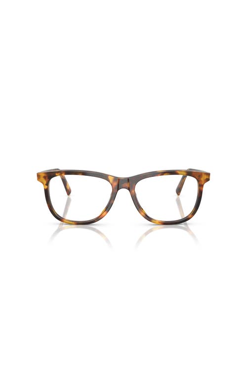 Miu Miu 54mm Phantos Optical Glasses In Brown