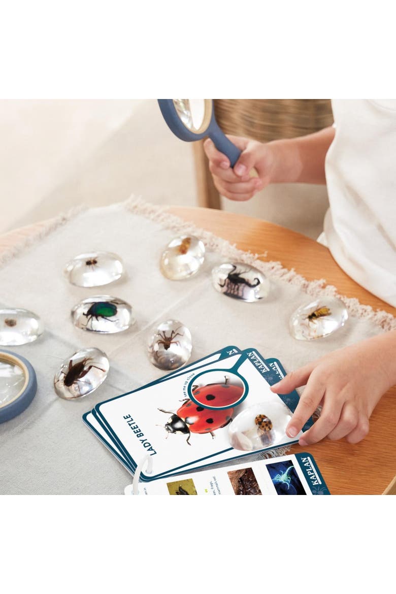 Specimen Stones Bugs - 9 Pieces, Alternate, color, Clear
