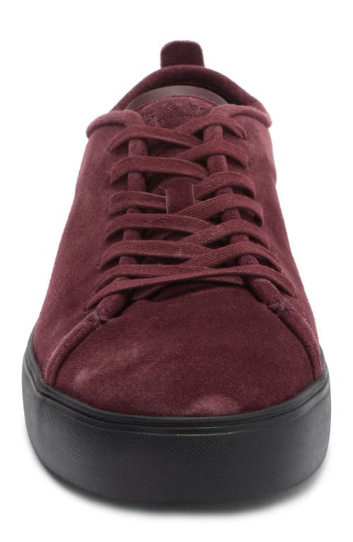 Rag & Bone Perry Sneaker In Burgundy
