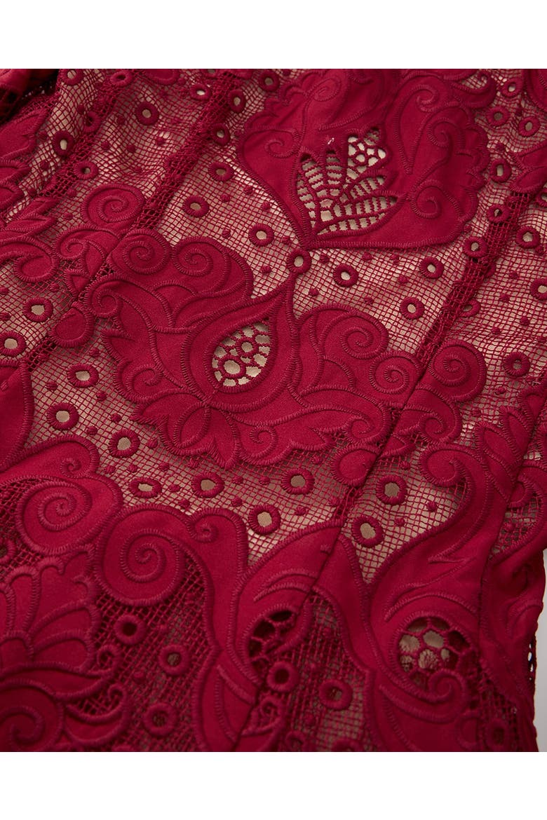 Gisele Embroidered Mini Dress, Alternate, color, Wine