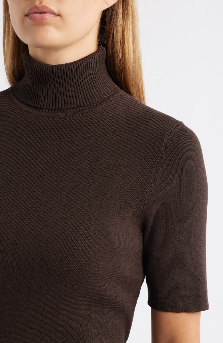 Anne Klein Short Sleeve Turtleneck Sweater, Alternate, color, 