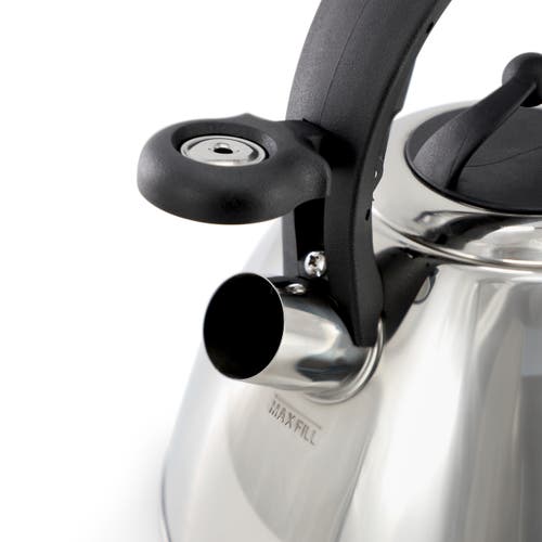 Mr Coffee Mr. Coffee Starsbury 2.1 Quart Stainless Steel Whistling Tea Kettle With Stay-cool Handles In Silver