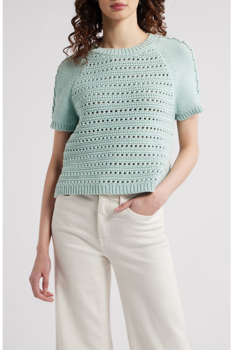 Pointelle Raglan Sleeve Sweater, Main, color, TEAL TIDE