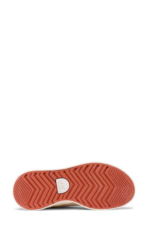 Sorel Out N About Iv Waterproof Sneaker In Bleached Ceramic/tuscan