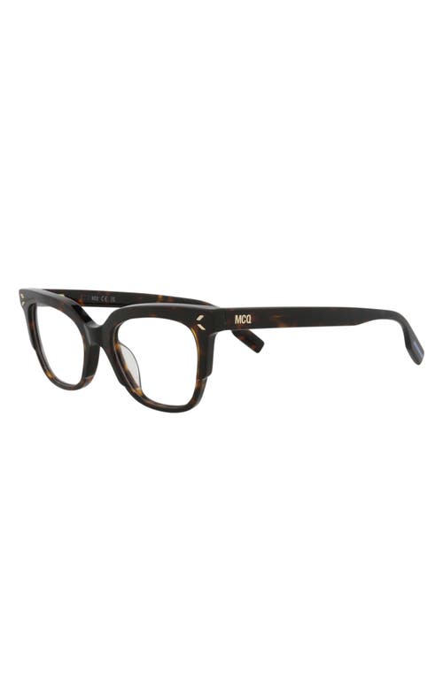 Alexander Mcqueen Mcqueen 50mm Cat Eye Optical Glasses In Havana Havana Transparent