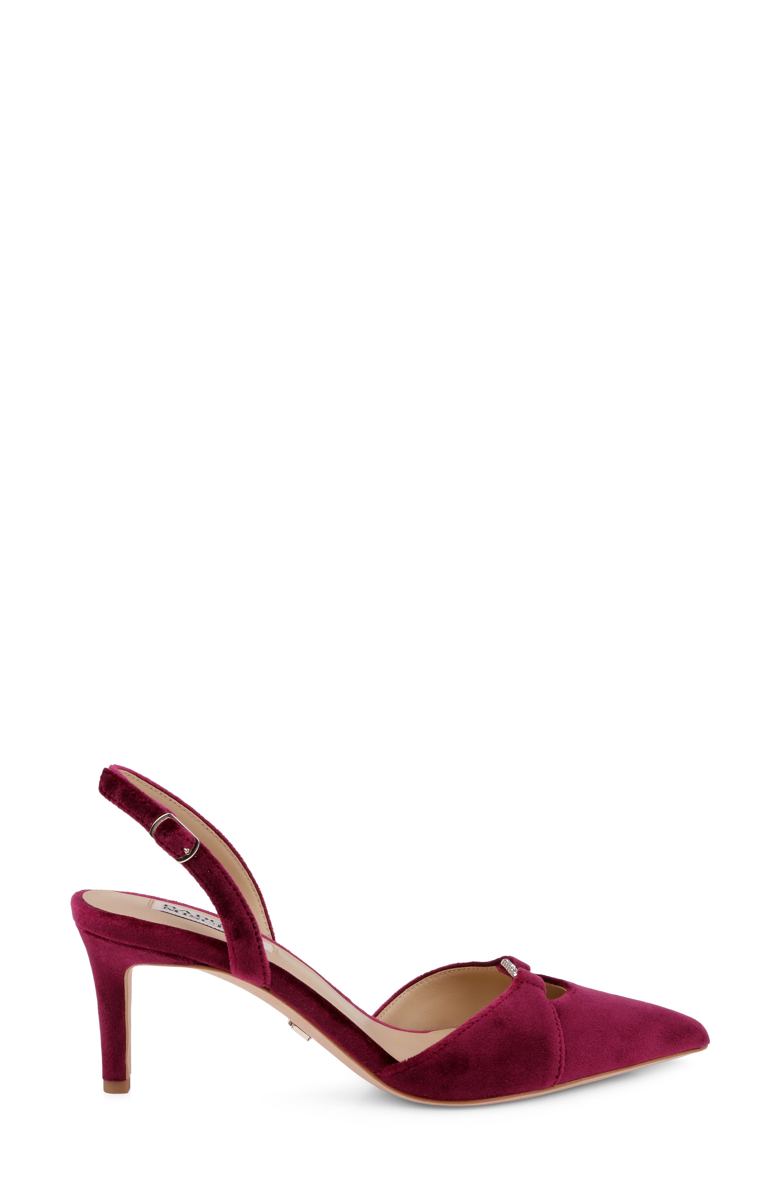Roger Slingback Pointed Toe Pump, Alternate, color, WINE VELVET
