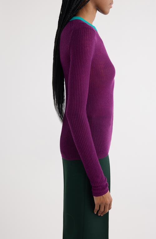 Chloé Contrast Collar Wool Rib Sweater In Sparkling Purple