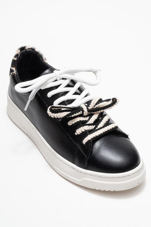 Forever & Always Shoes Warron Leather Sneakers In Multi