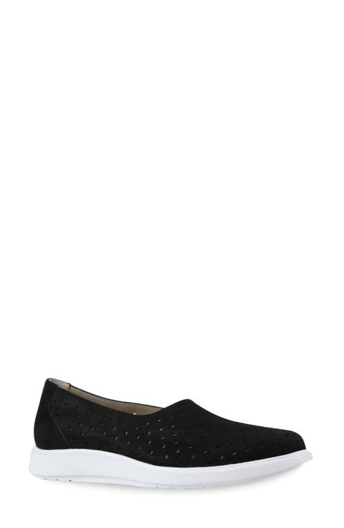 Munro Ridley Perforated Sneaker In Black Nubuck