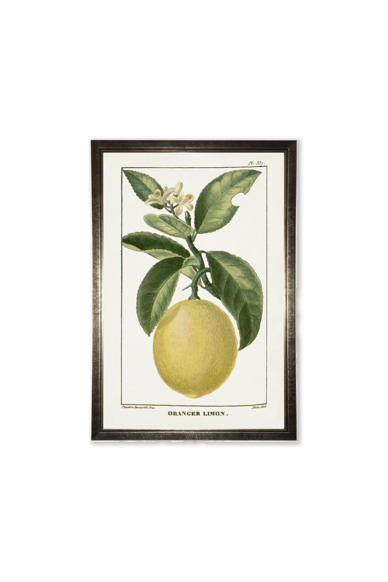 Lemon Plant in Silver Frame, Main, color, Multi