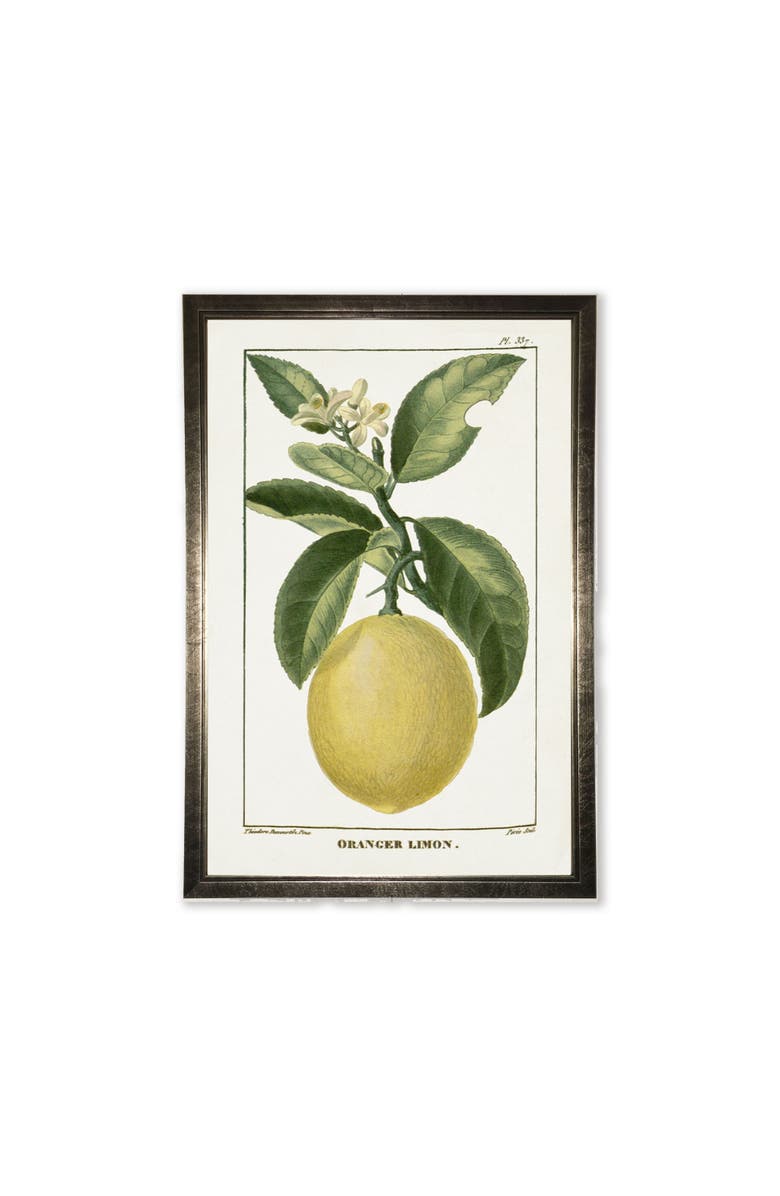 Antique Curiosities Lemon Plant in Silver Frame, Main, color, Multi