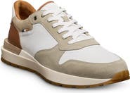Allen Edmonds Lionel Lace-Up Sneaker