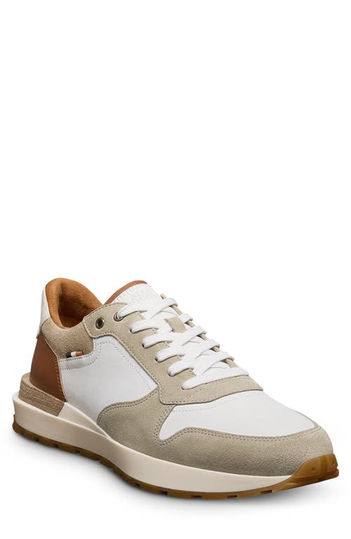 Allen Edmonds Lionel Lace-up Sneaker In White Multi