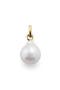 selected 14Kt Solid Gold / Pearl