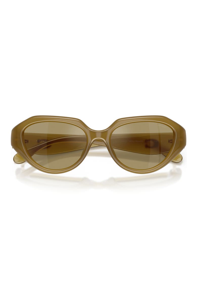 52mm Irregular Sunglasses, Alternate, color, MILKY WASABI / GREEN FLASH
