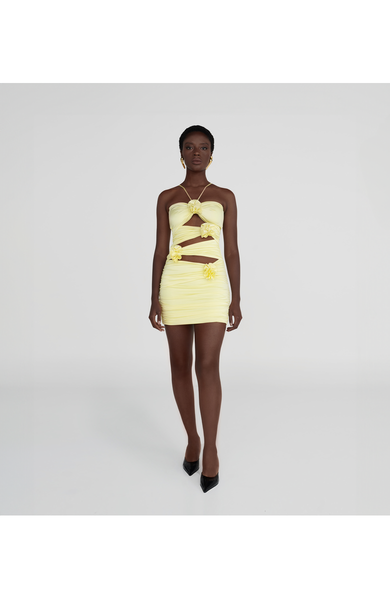 MAYGEL CORONEL Coari bodydress, Main, color, Lime